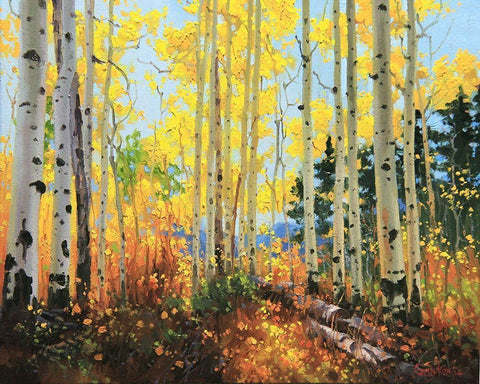 Castle Creek Trail Black Ornate Wood Framed Art Print with Double Matting by Kim, Gary