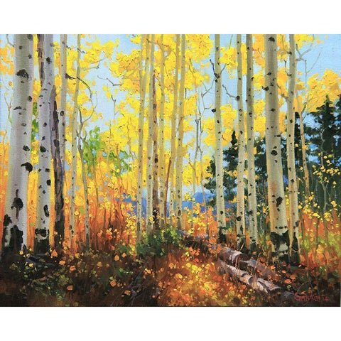 Castle Creek Trail White Modern Wood Framed Art Print by Kim, Gary