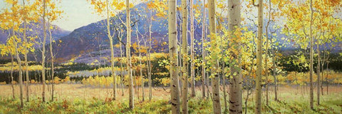 Aspen Beauty White Modern Wood Framed Art Print with Double Matting by Kim, Gary