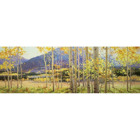 Aspen Beauty Black Modern Wood Framed Art Print by Kim, Gary