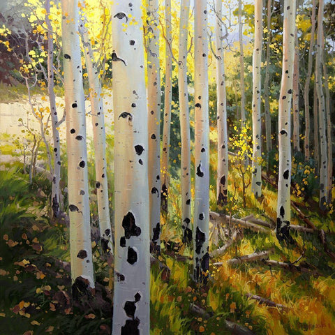 Early Aspen White Modern Wood Framed Art Print with Double Matting by Kim, Gary