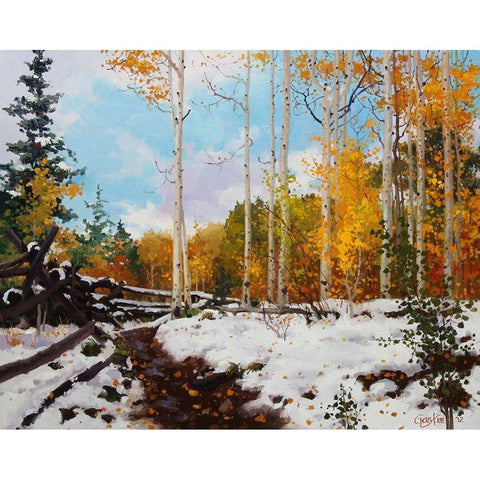 Aspen Vista Snow Black Modern Wood Framed Art Print with Double Matting by Kim, Gary