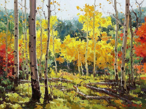 Backlit Aspen Grove Black Ornate Wood Framed Art Print with Double Matting by Kim, Gary