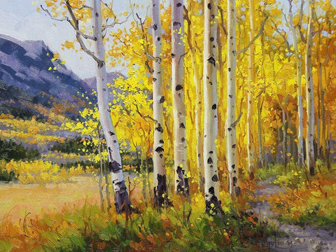 Trail through Golden Aspen Black Ornate Wood Framed Art Print with Double Matting by Kim, Gary