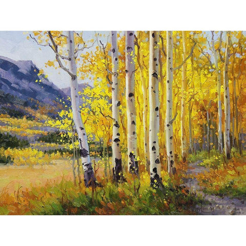 Trail through Golden Aspen White Modern Wood Framed Art Print by Kim, Gary