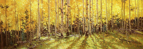Aspen Panorama White Modern Wood Framed Art Print with Double Matting by Kim, Gary
