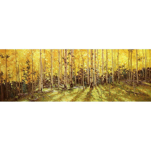 Aspen Panorama Black Modern Wood Framed Art Print by Kim, Gary