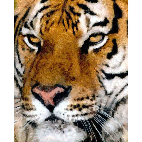 Portrait of a Tiger Gold Ornate Wood Framed Art Print with Double Matting by Bolokofsky, Ronald