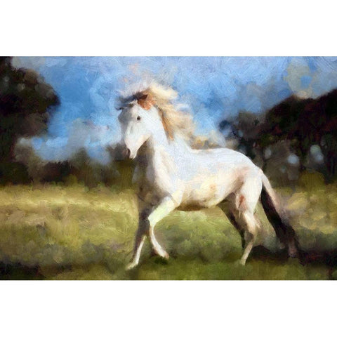 Slow Trot White Modern Wood Framed Art Print by Bolokofsky, Ronald