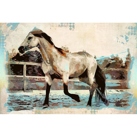 Arabian Trot II Black Modern Wood Framed Art Print with Double Matting by Bolokofsky, Ronald