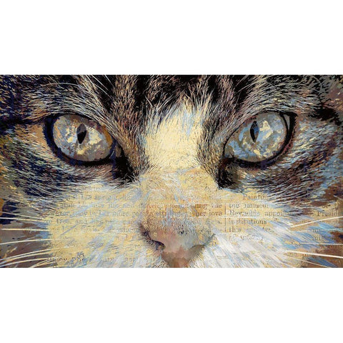 Cat Eyes Black Modern Wood Framed Art Print with Double Matting by Bolokofsky, Ronald