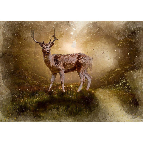 Deer In the Forest Black Modern Wood Framed Art Print with Double Matting by Bolokofsky, Ronald