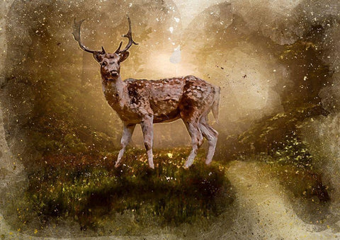 Deer In the Forest White Modern Wood Framed Art Print with Double Matting by Bolokofsky, Ronald