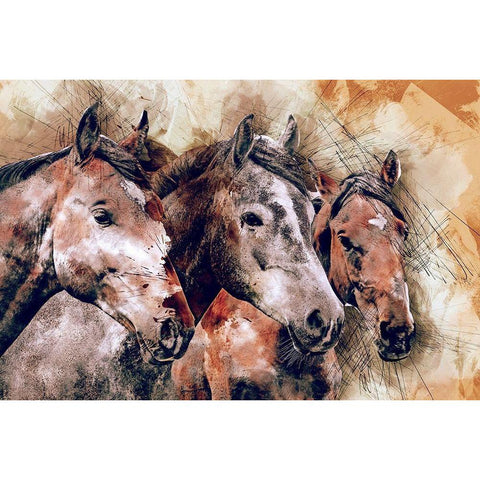 Horse Trio Black Modern Wood Framed Art Print with Double Matting by Bolokofsky, Ronald