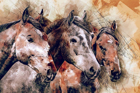 Horse Trio White Modern Wood Framed Art Print with Double Matting by Bolokofsky, Ronald