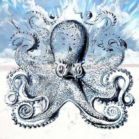 Octopus II White Modern Wood Framed Art Print with Double Matting by Bolokofsky, Ronald