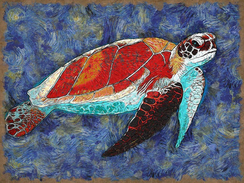 Turtle White Modern Wood Framed Art Print with Double Matting by Bolokofsky, Ronald