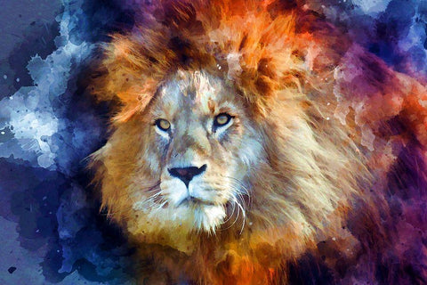 Watercolor Lion II White Modern Wood Framed Art Print with Double Matting by Bolokofsky, Ronald