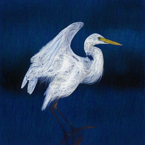 White Egret II White Modern Wood Framed Art Print by Bolokofsky, Ronald