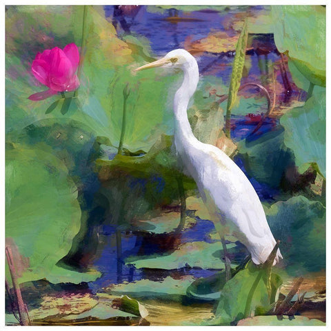 White Egret I Black Modern Wood Framed Art Print by Bolokofsky, Ronald