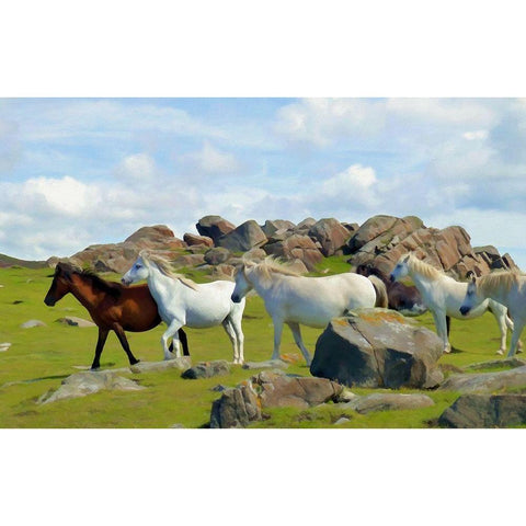 Wild Horses II White Modern Wood Framed Art Print by Bolokofsky, Ronald