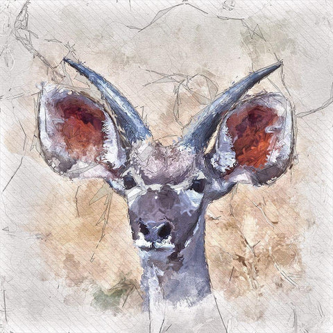 Young Kudu White Modern Wood Framed Art Print with Double Matting by Bolokofsky, Ronald