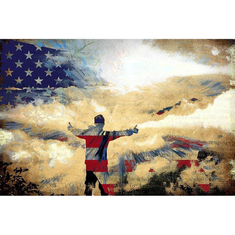 America the Beautiful Black Modern Wood Framed Art Print with Double Matting by Bolokofsky, Ronald