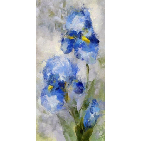 Blue Garden I Black Modern Wood Framed Art Print with Double Matting by Bolokofsky, Ronald