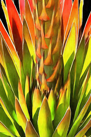 Agave I White Modern Wood Framed Art Print with Double Matting by Bolokofsky, Ronald