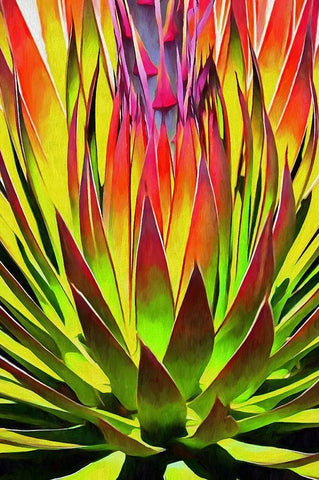 Agave II White Modern Wood Framed Art Print with Double Matting by Bolokofsky, Ronald