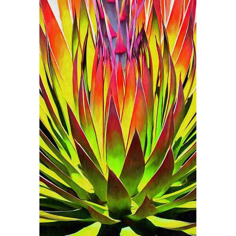 Agave II Gold Ornate Wood Framed Art Print with Double Matting by Bolokofsky, Ronald