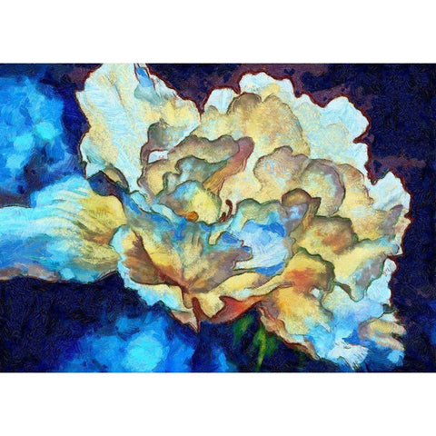 Summer Bloom I White Modern Wood Framed Art Print by Bolokofsky, Ronald