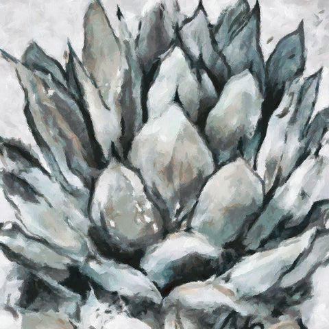 Cereus Echeveria White Modern Wood Framed Art Print with Double Matting by Bolokofsky, Ronald