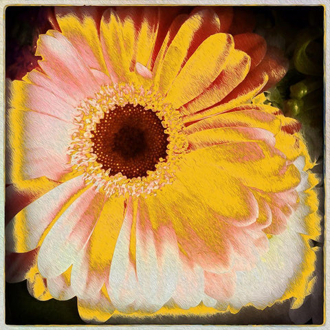 Floral Yellow White Modern Wood Framed Art Print with Double Matting by Bolokofsky, Ronald