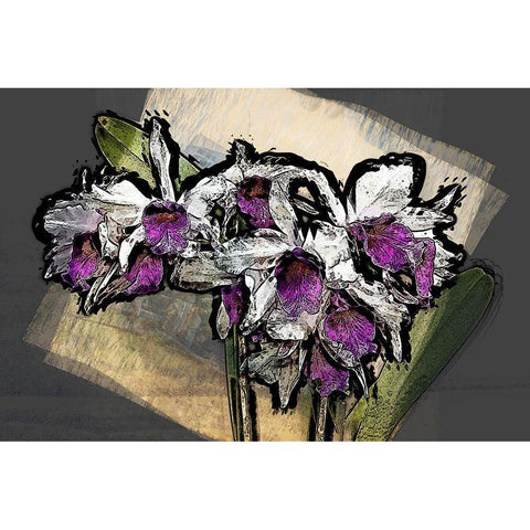 Magic Orchids I Black Modern Wood Framed Art Print with Double Matting by Bolokofsky, Ronald