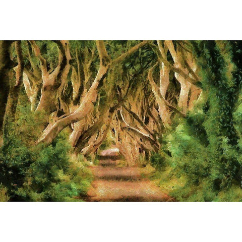 Tree Lane Gold Ornate Wood Framed Art Print with Double Matting by Bolokofsky, Ronald