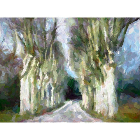 A Road Less Traveled White Modern Wood Framed Art Print by Bolokofsky, Ronald