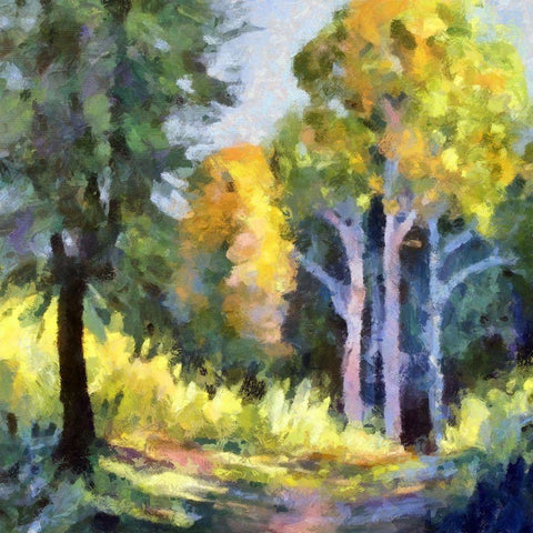 Forest Walk White Modern Wood Framed Art Print by Bolokofsky, Ronald