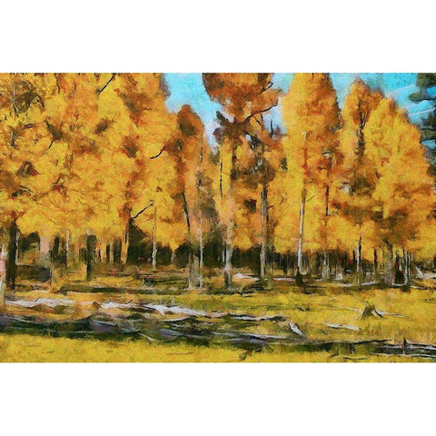 Autumn Forest Black Modern Wood Framed Art Print with Double Matting by Bolokofsky, Ronald