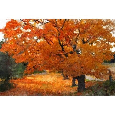 Autumn Landscape White Modern Wood Framed Art Print by Bolokofsky, Ronald