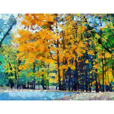 Autumn Light White Modern Wood Framed Art Print by Bolokofsky, Ronald