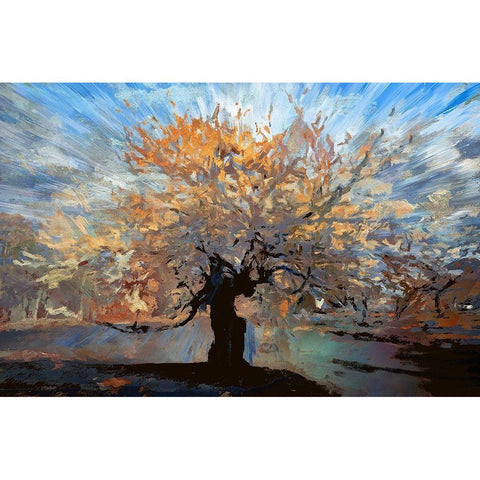 Autumn Living White Modern Wood Framed Art Print by Bolokofsky, Ronald