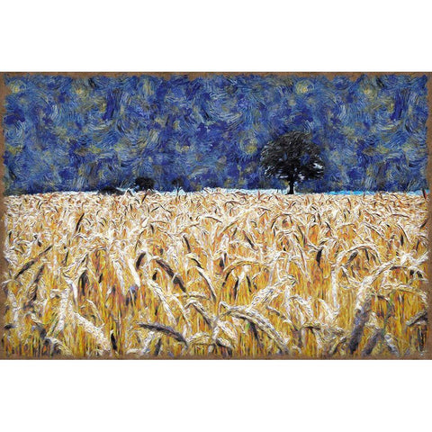 Barley Field White Modern Wood Framed Art Print by Bolokofsky, Ronald