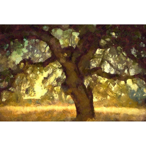 Big Shade I White Modern Wood Framed Art Print by Bolokofsky, Ronald