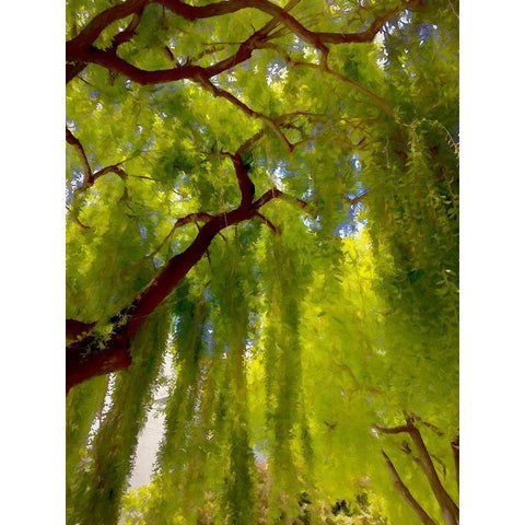 Big Shade II Gold Ornate Wood Framed Art Print with Double Matting by Bolokofsky, Ronald