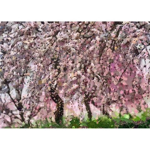 Cherry Blossoms III Black Modern Wood Framed Art Print with Double Matting by Bolokofsky, Ronald