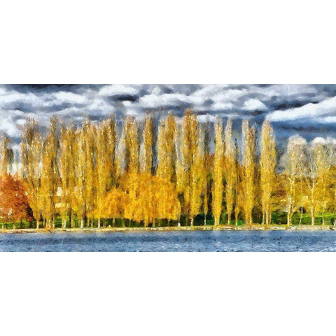 Golden Trees  Black Modern Wood Framed Art Print with Double Matting by Bolokofsky, Ronald