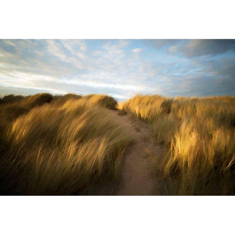 Grassy Dune Gold Ornate Wood Framed Art Print with Double Matting by Bolokofsky, Ronald