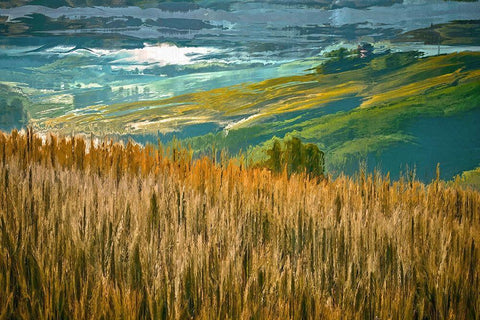 Misty Morning In Tuscany White Modern Wood Framed Art Print with Double Matting by Bolokofsky, Ronald