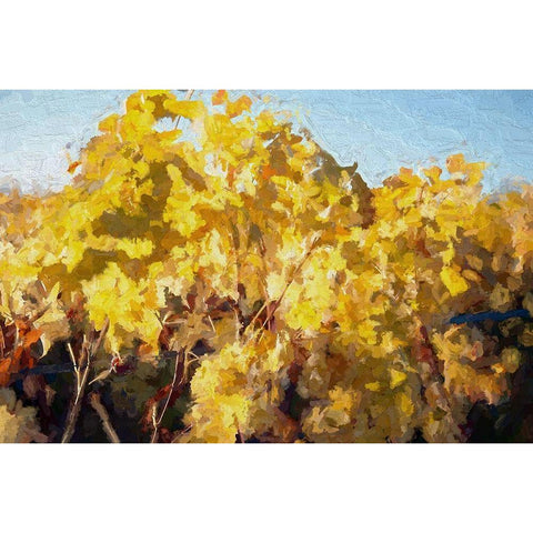 On the Vine White Modern Wood Framed Art Print by Bolokofsky, Ronald